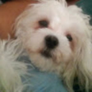 Meet your Posher, Tanesha